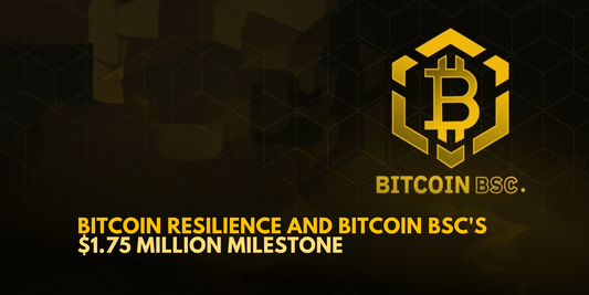 Bitcoin's Resilience Amidst Inflation Concerns and the Emergence of Bitcoin BSC