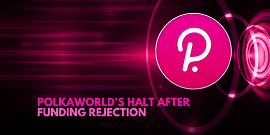 PolkaWorld Ceases Operations After Funding Rejection in Polkadot Community