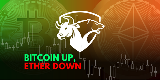 Bitcoin Rises, Ether Slips, Top Cryptos Mixed