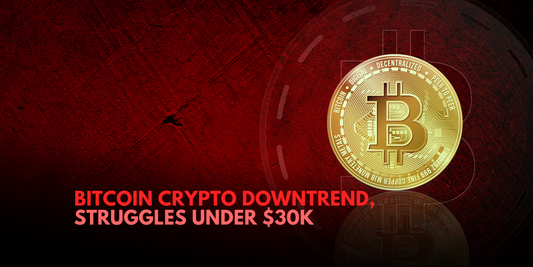 Bitcoin's Resilience: On the Rise, Yet Trapped Below $30,000