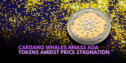 Cardano Whales Accumulate ADA Tokens Amidst Price Inaction