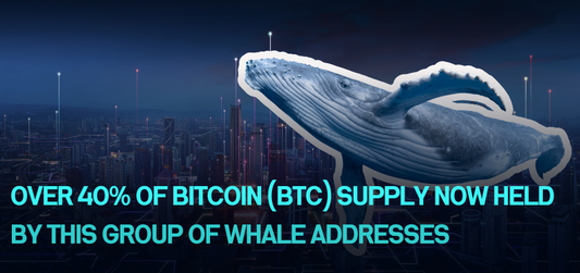 Over 40% of Bitcoin (BTC) Supply Now Held by This Group of Whale Addresses