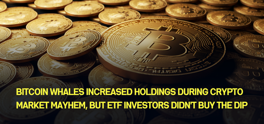Bitcoin Whales Increased Holdings During Crypto Market Mayhem, but ETF Investors Didn't Buy the Dip