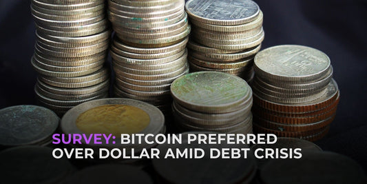 Bitcoin Trumps Dollar for U.S. Investors as Debt Ceiling Looms: Survey